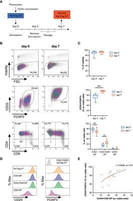 A Novel GMP Protocol to Produce High-Quality Treg Cells From the Pediatric Thymic Tissue to Be Employed as Cellular Therapy